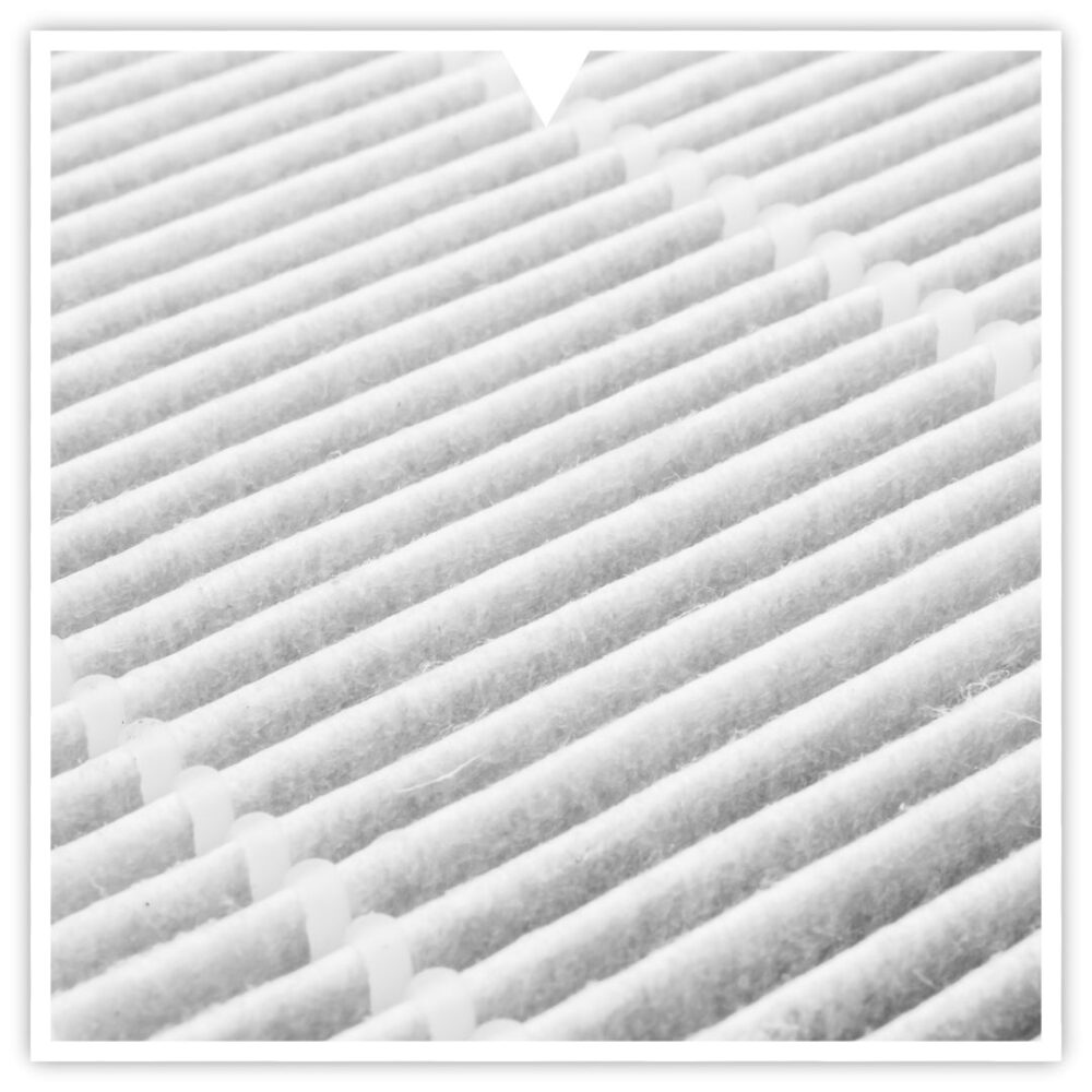 Clean Air Filters