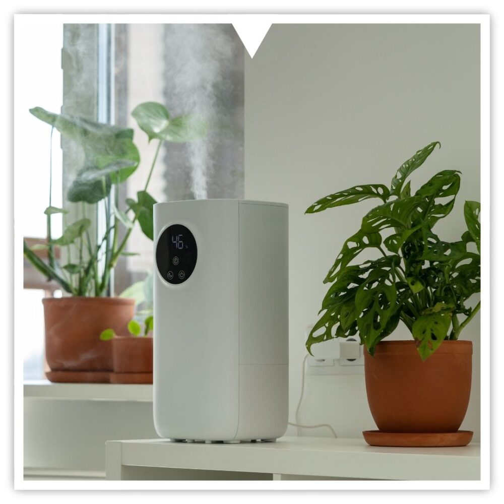 Air Purifier in Home with Plants